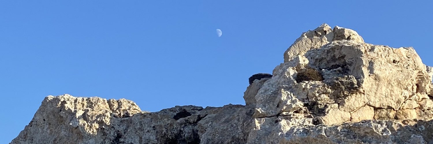 delecharre's profile banner image
