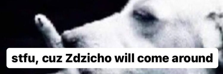 Zekiu_ banner