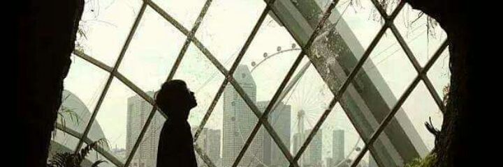 edielson vinente banner