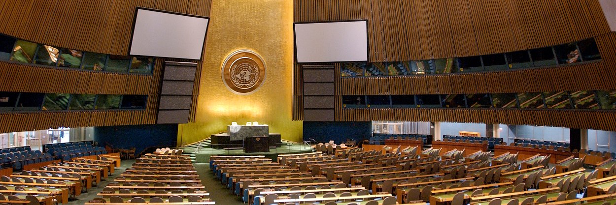 United Nations Environment Management Group banner