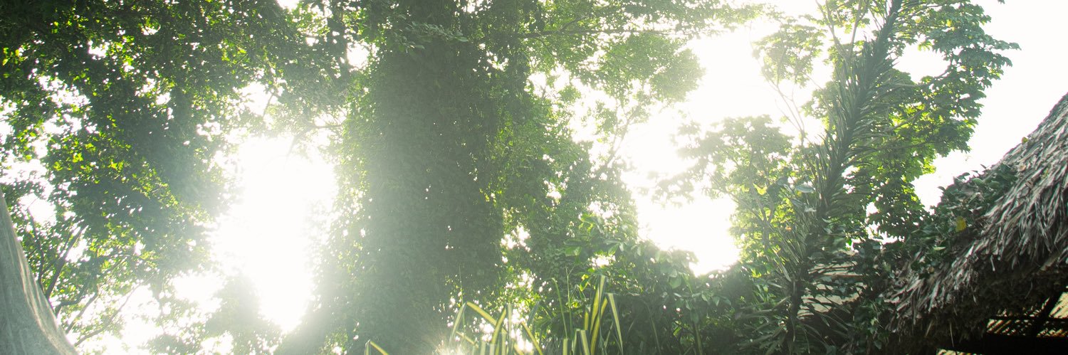 CinemaJunkster's profile banner image