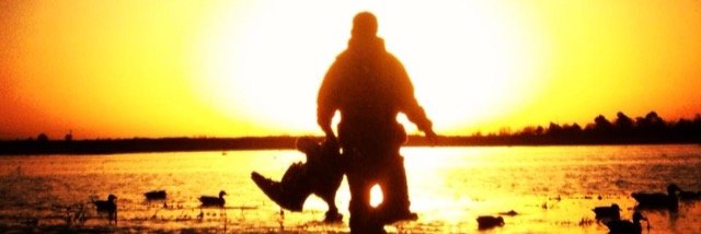 JenniferDusik's profile banner image