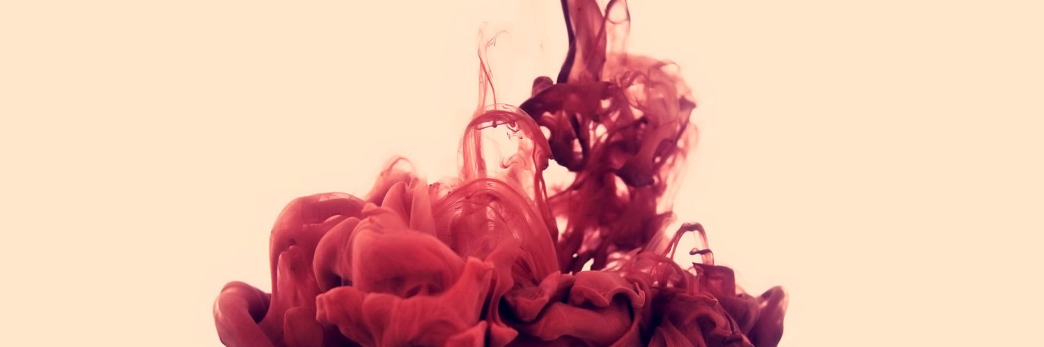 Areolys's profile banner image