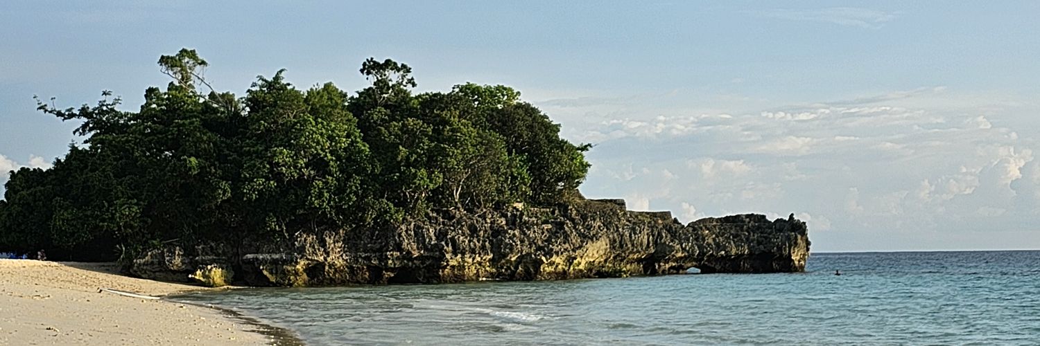 zaracamil's profile banner image