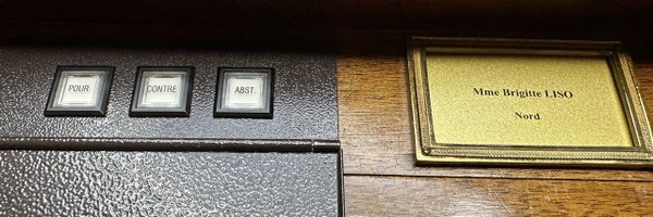 brigitte_liso Profile Banner