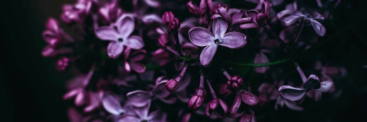 rgjedi01's profile banner image