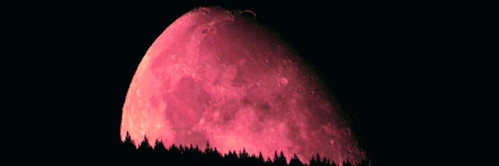 nui_inui's profile banner image