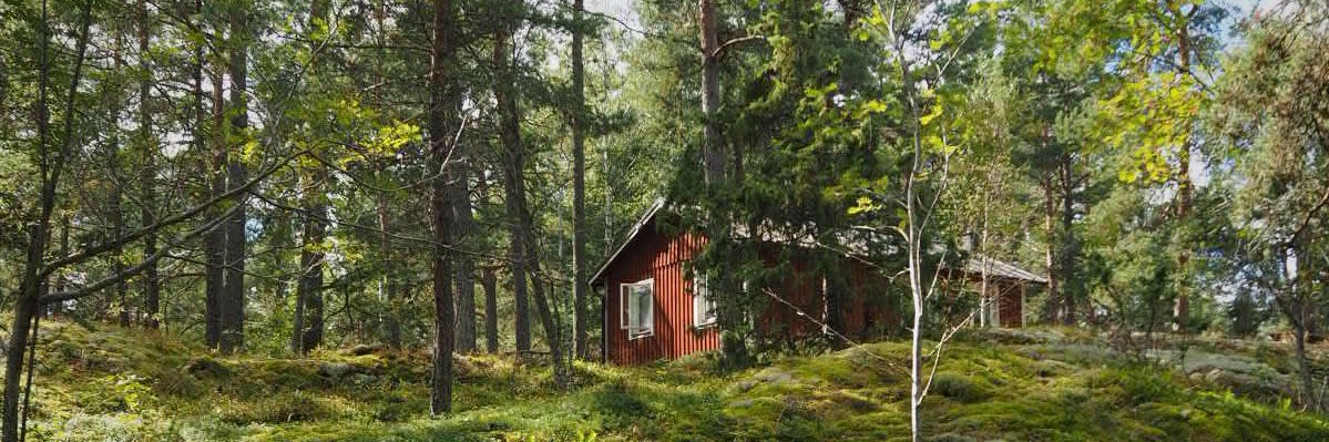 María Comella banner