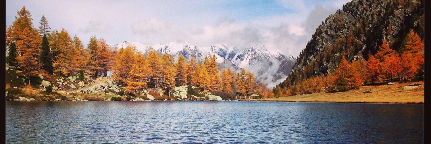 Alessandro Poser banner