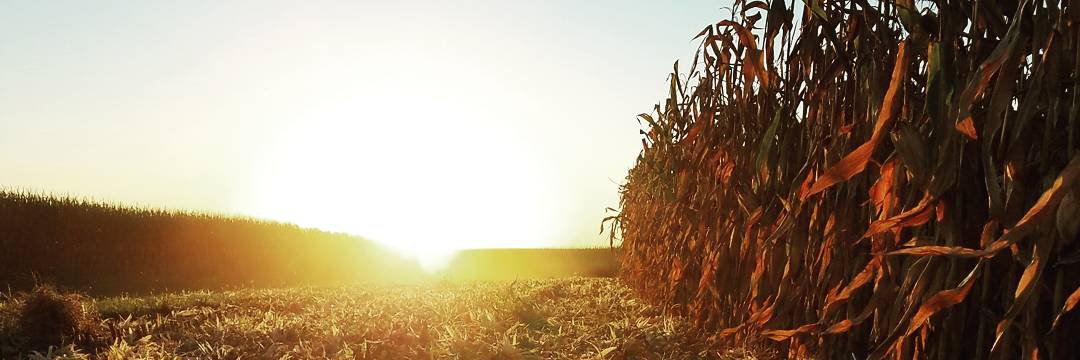 SJensen12's profile banner image