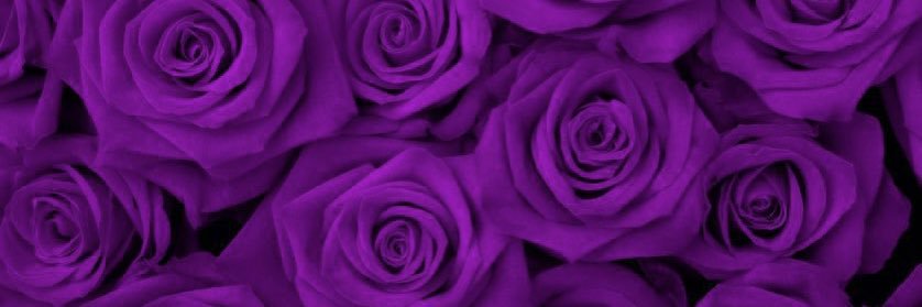 saudia_hack's profile banner image