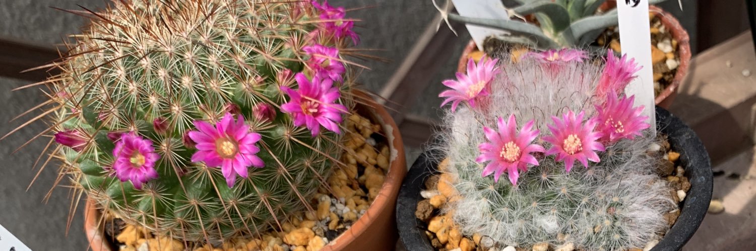 BNG🔔東２ち68ab banner