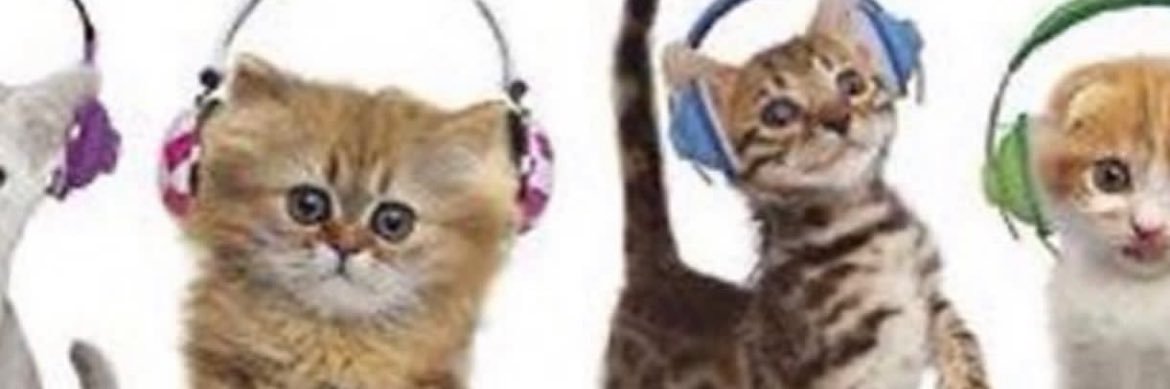 bruh banner