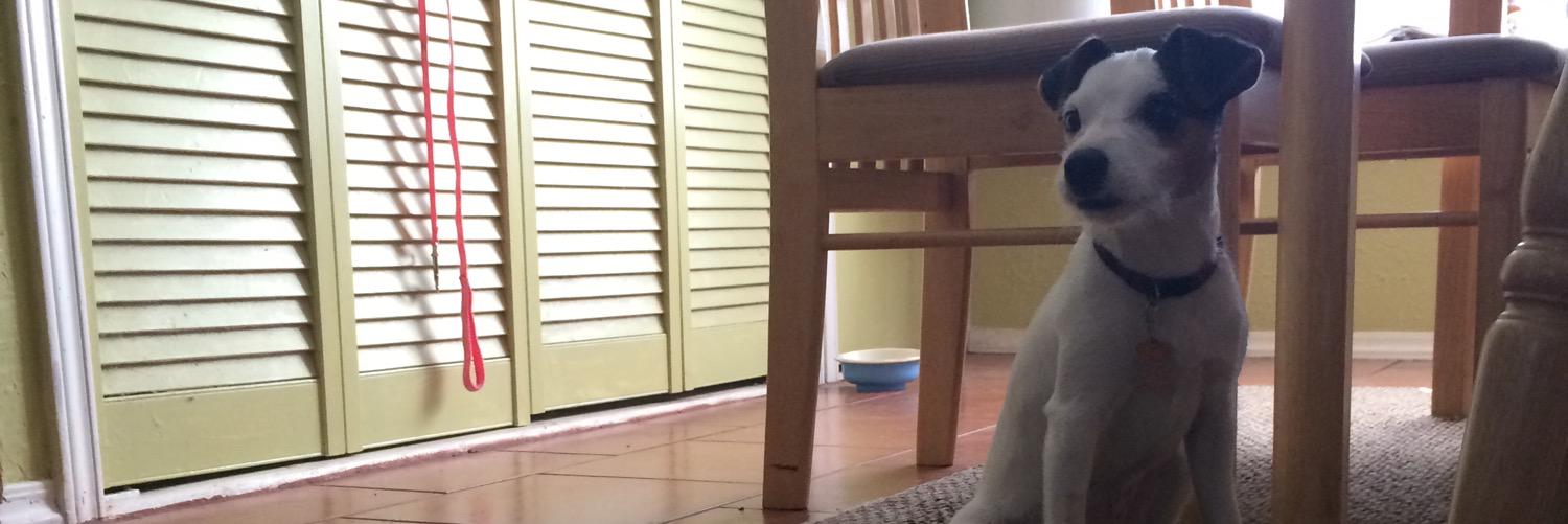 eriksrt4's profile banner image