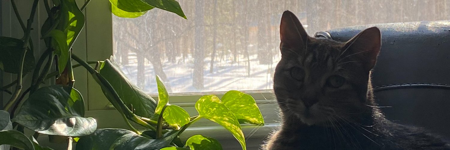 kreempieguy's profile banner image