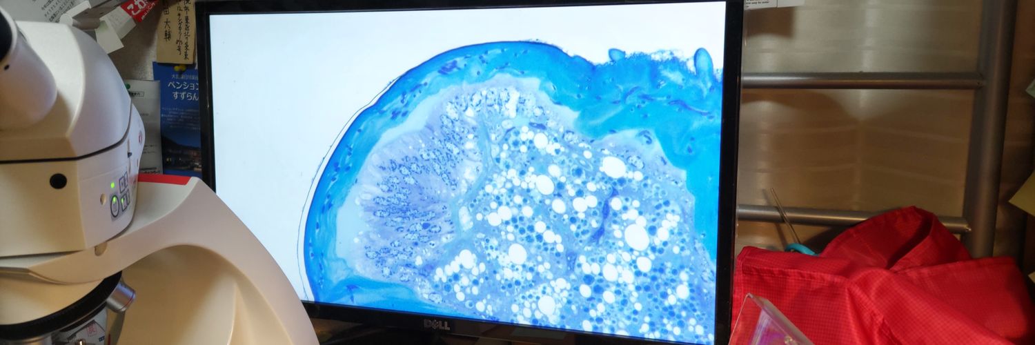 bagworm_moth's profile banner image