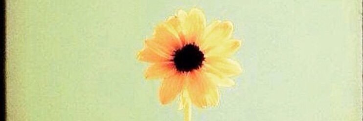 alex_mcmorris's profile banner image