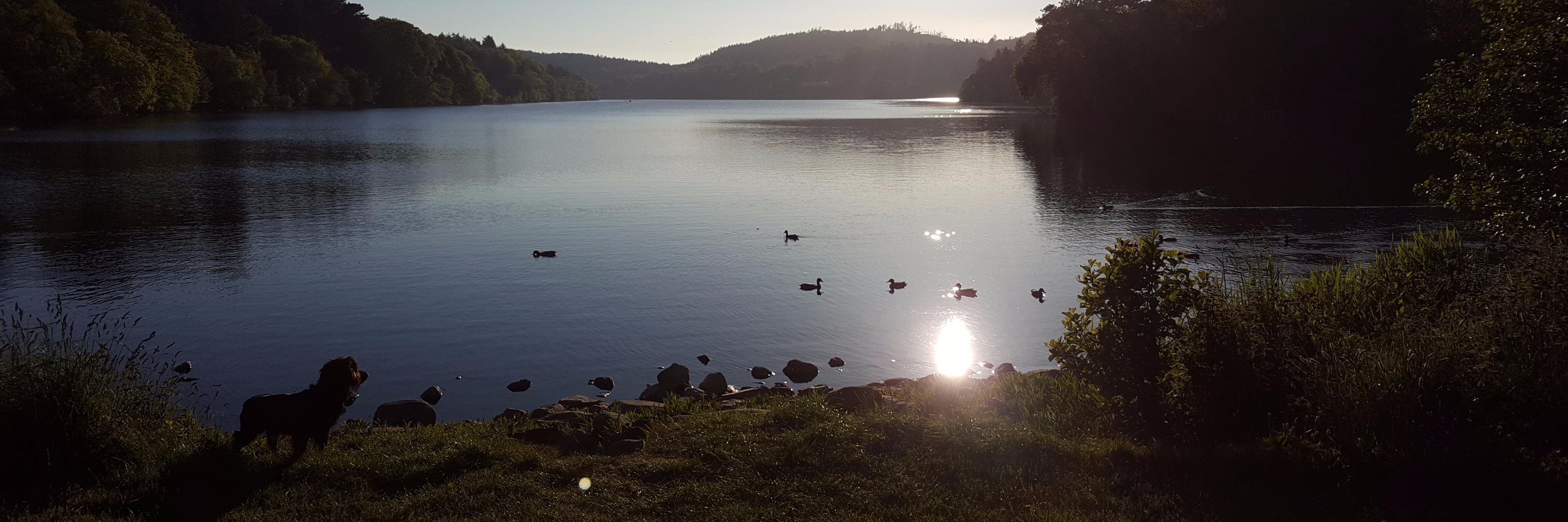 Dale Kirkpatrick banner