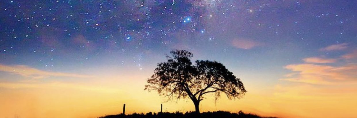 s_o428's profile banner image