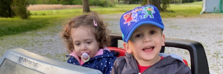 Lisa K Wagner banner