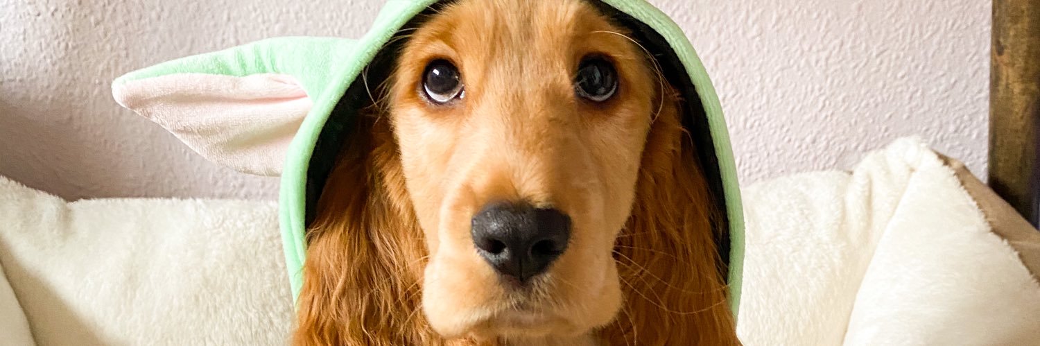 mariamoramc's profile banner image