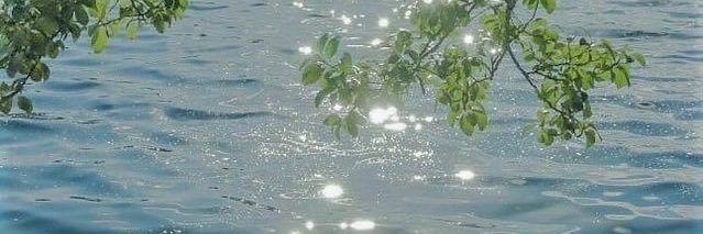 Amore banner