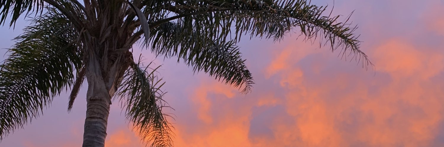 jossslin's profile banner image