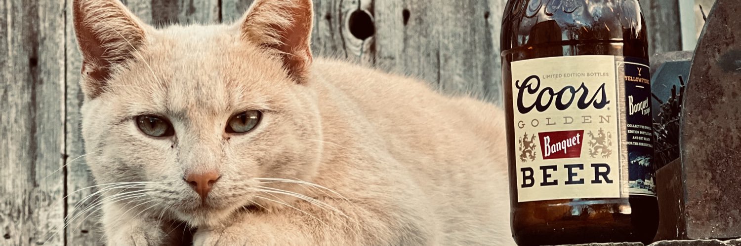 IvanTheRod's profile banner image