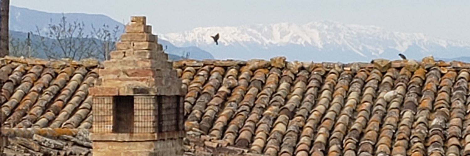 Dr. Rob Golf 🦣 2% Leggo Deplorable Neanderthal banner