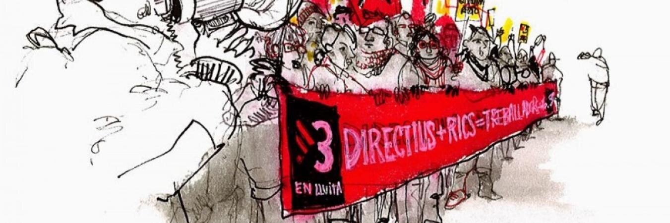 243.cat banner