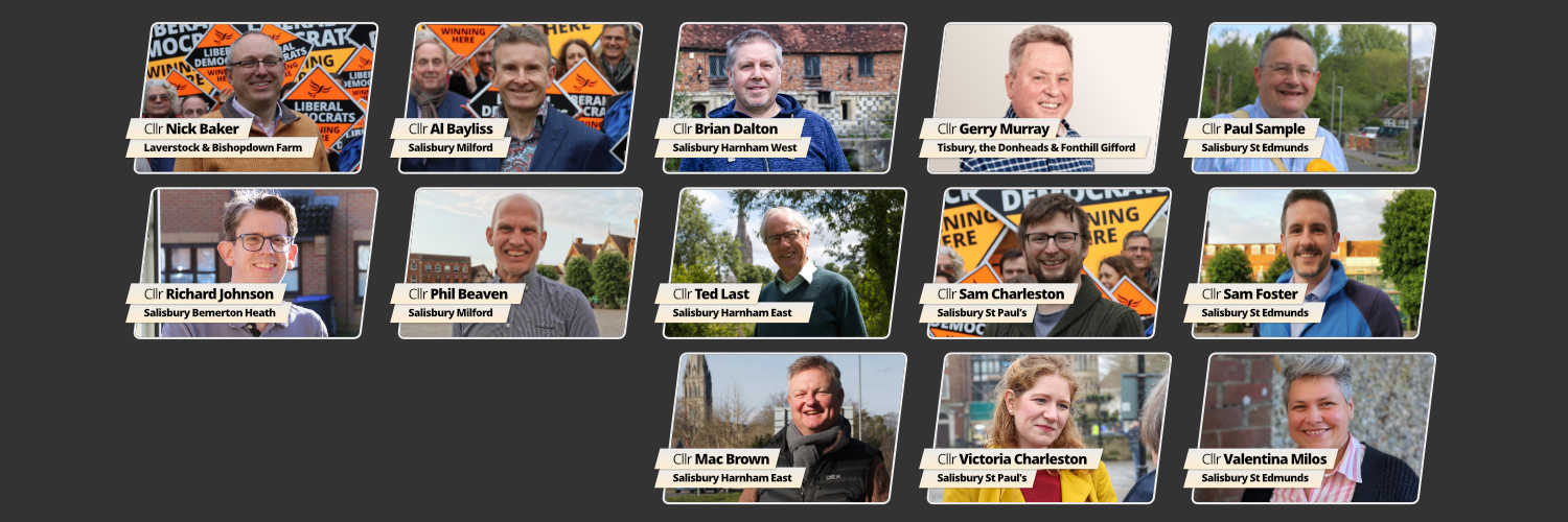 Salisbury Lib Dems 🔶 banner