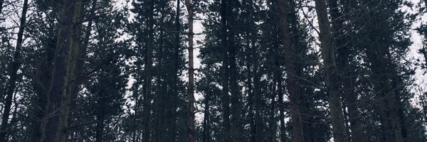 mikkmurray Profile Banner