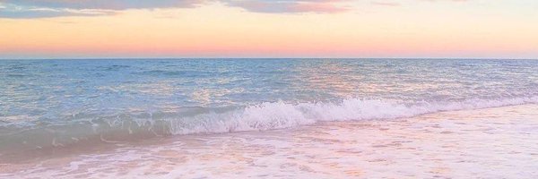 ScoutPawfoot Profile Banner