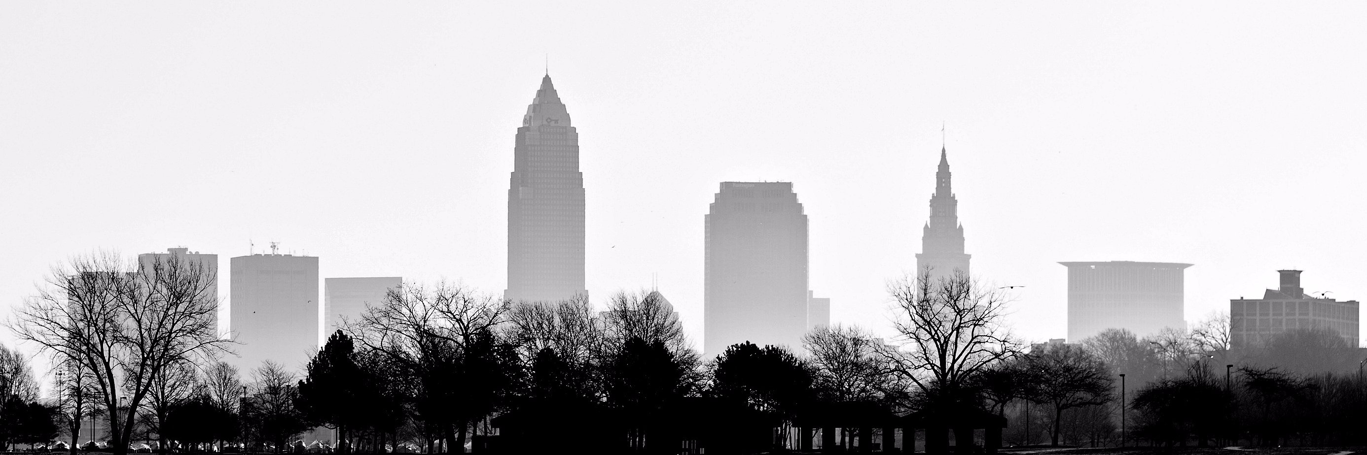 TjModory's profile banner image