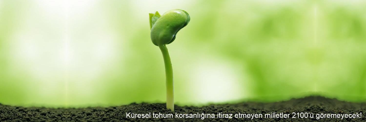 hibritgdo's profile banner image