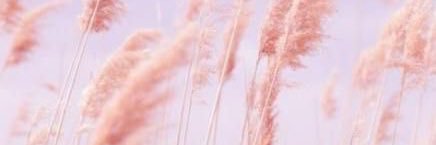 gracianyy's profile banner image