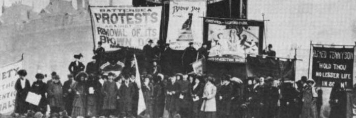 Clara Contreras banner