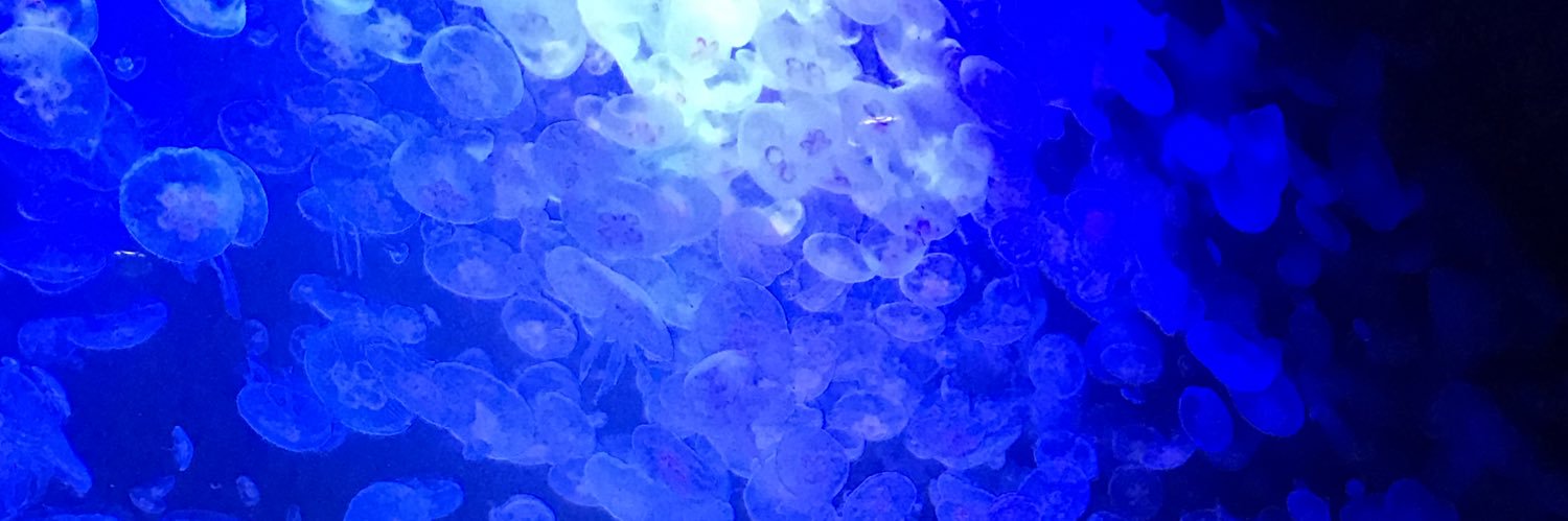 てん banner