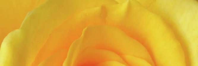LovinPR's profile banner image