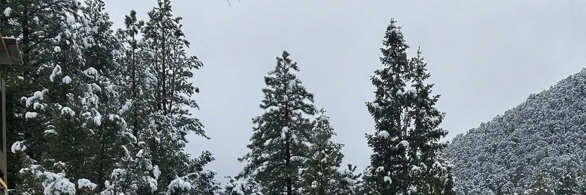 DaBusch85's profile banner image
