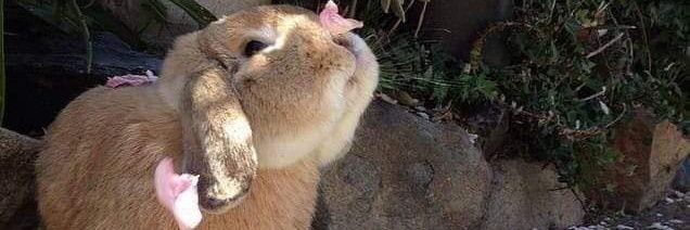 the q stands for quit ur jobs banner