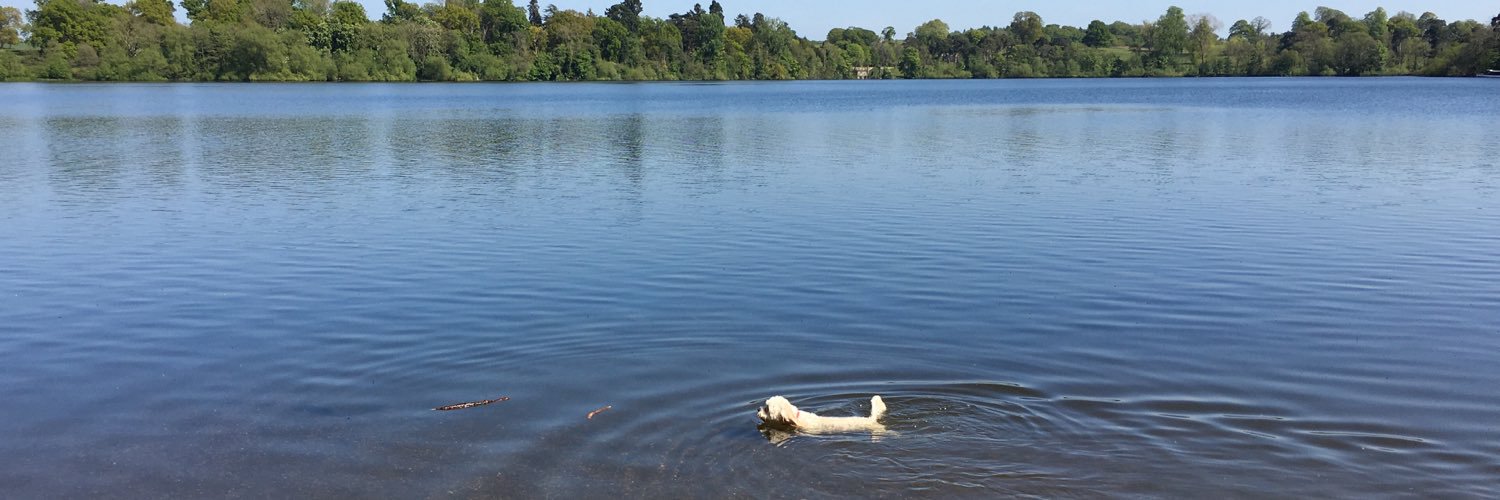 Pooch Molly 🐾 banner