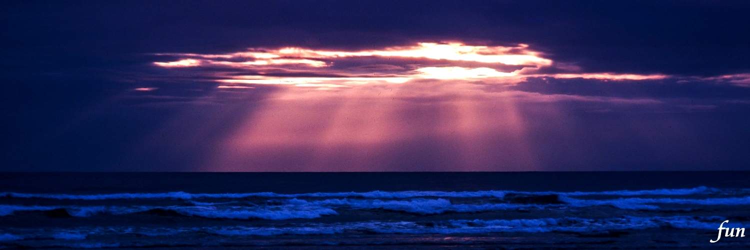 しぐれ＠取引垢 banner