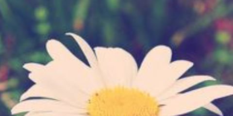 cait_SeVaNi's profile banner image