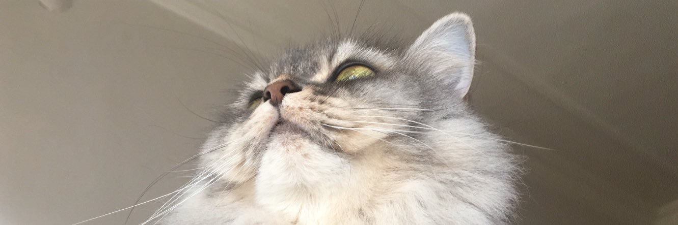 iremtttt's profile banner image