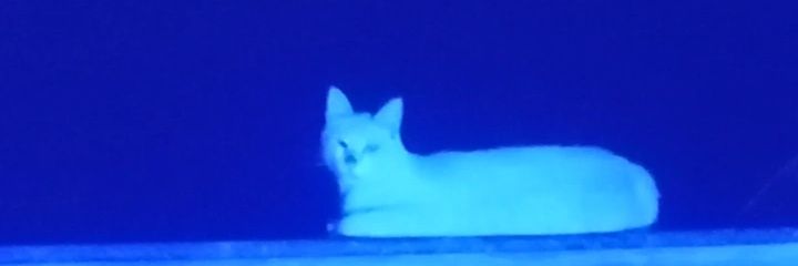 FerrettiPlinio's profile banner image