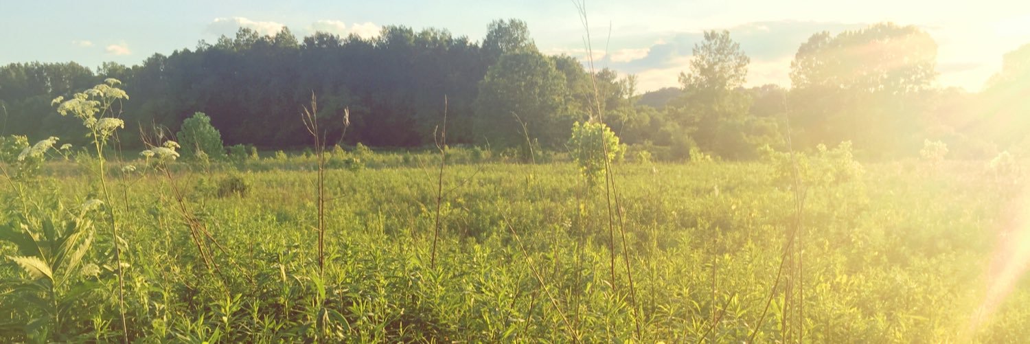 caiter_bugg's profile banner image