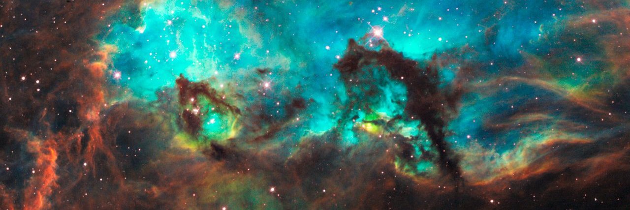 KellySetula's profile banner image