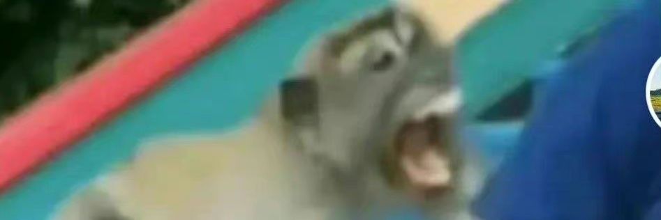 JacobButterfie's profile banner image