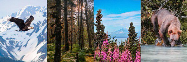 RachelNutter2 Profile Banner